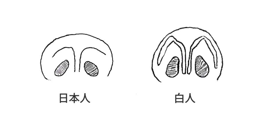 日本人と白人