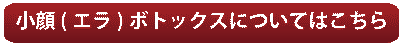 こちらをクリック　エラボトックス