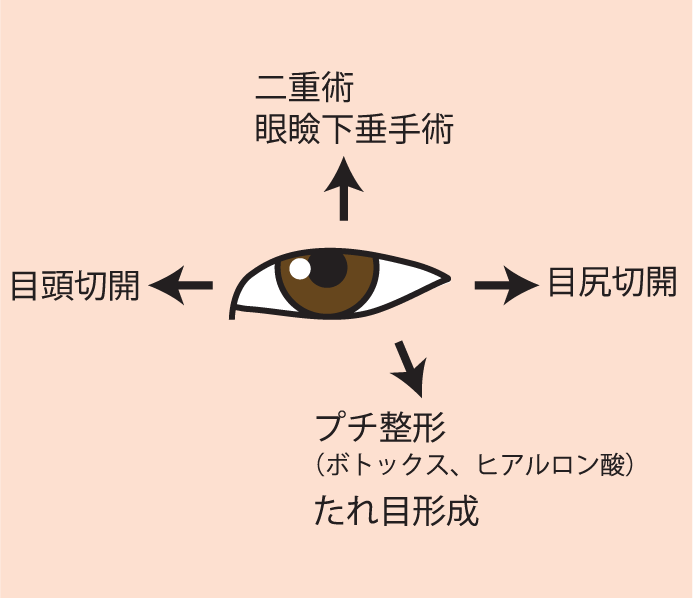 目を上下左右に大きくする方法