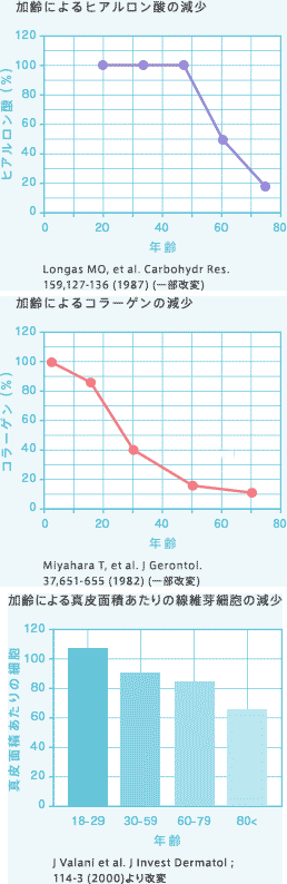 わかりやすいコラーゲンの減少グラフ　ベビーコラーゲン