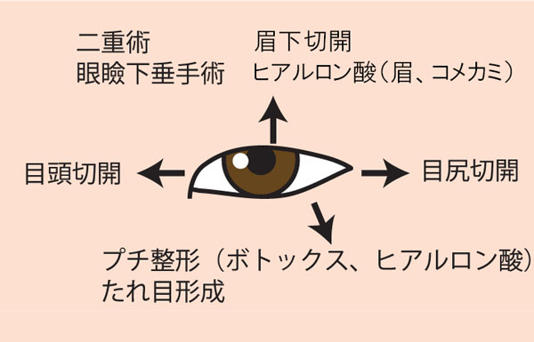 目を大きくさせるための方向別の施術