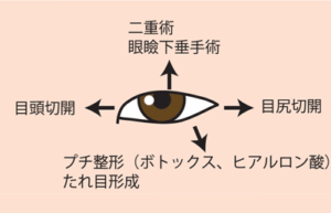 目を大きく見せる施術