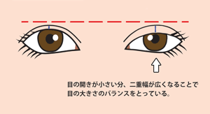 二重 目の大きさ 涙袋に左右差ができる原因と対処法 もとび美容外科クリニック