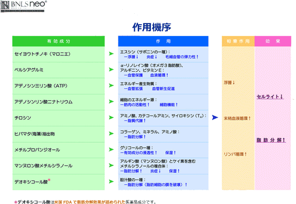 BNLS-neo-成分-作用