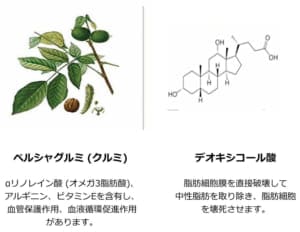 従来のBNLSneoの成分4