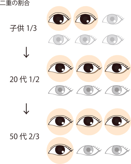 二重の人の割合のイメージ