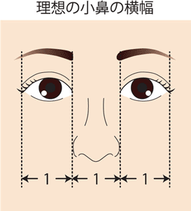 理想の小鼻幅 鼻整形