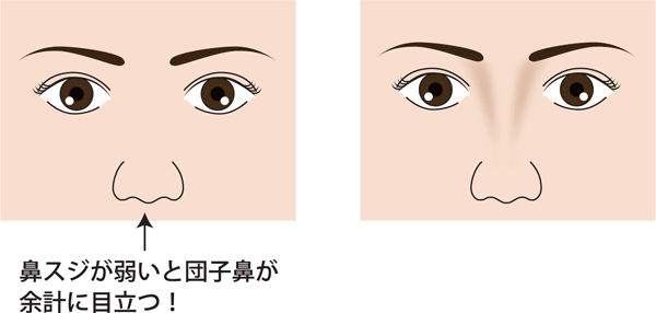 鼻筋ある無し図解