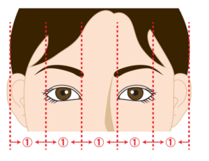 目の幅の等分の図