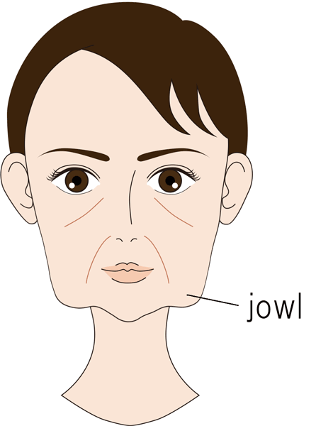 jowl（ホホの脂肪・たるみ）