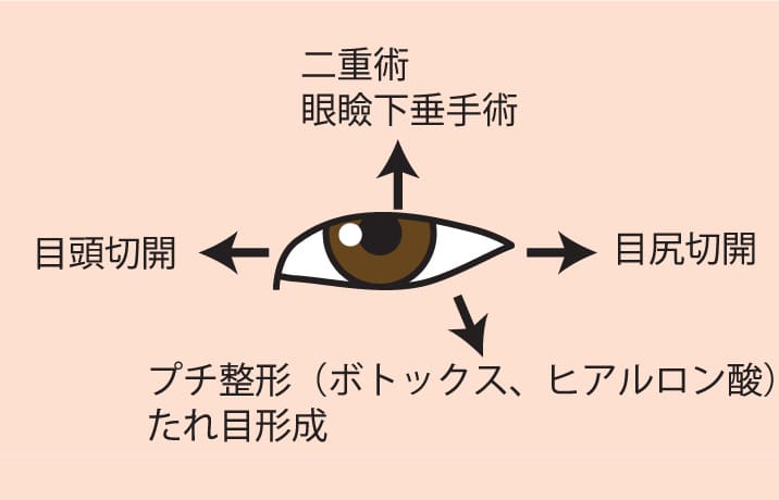 目を大きくする方向