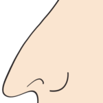 タレ鼻のイメージ