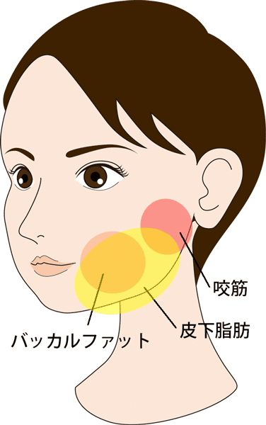 強力小顔３点セットの効果が出る部位