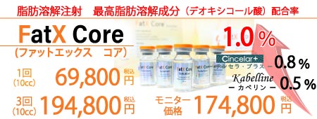 最強脂肪溶解注射　FatX Core