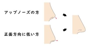 鼻先を伸ばす方向