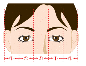 目の幅と眼間のバンランスの