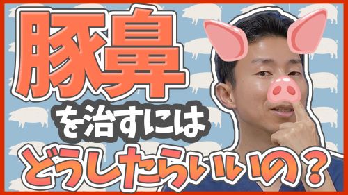 【鼻整形】豚鼻を治すうえでのクリップや鼻プチのデメリットとおすすめの整形３つ