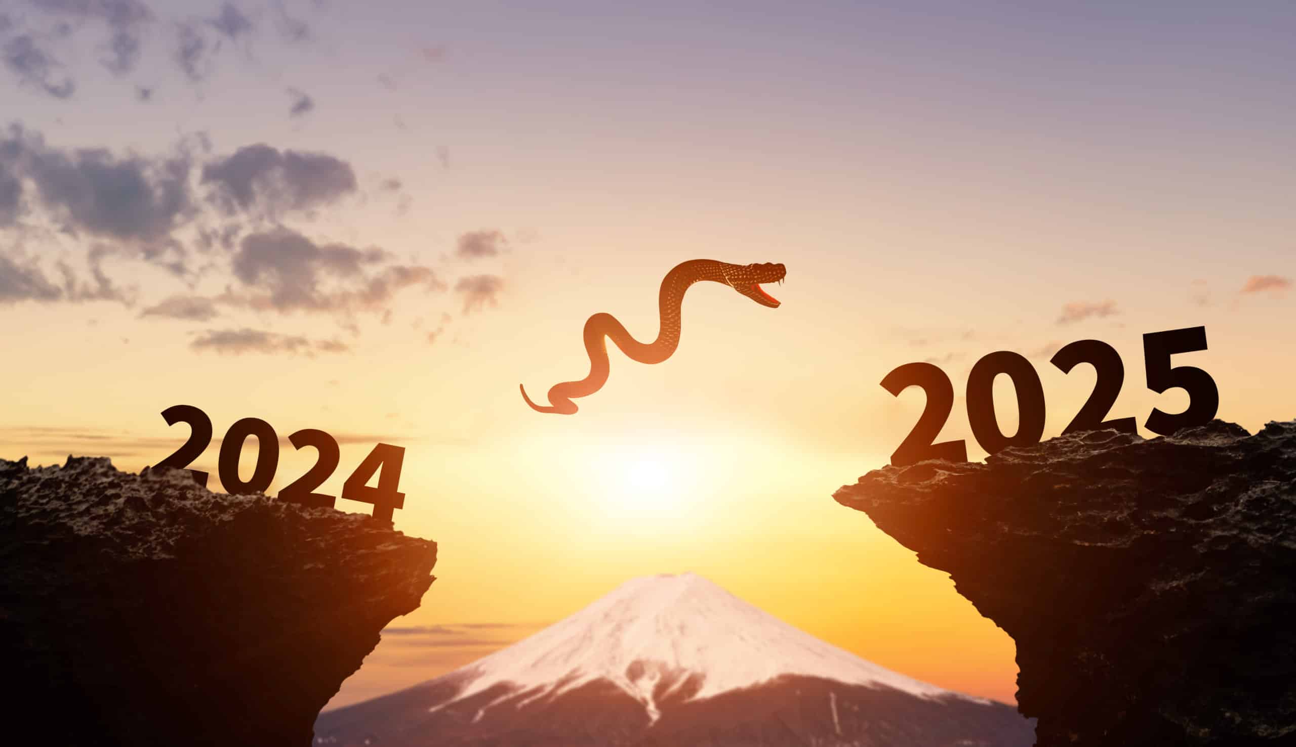 ２０２５年蛇年　飛躍