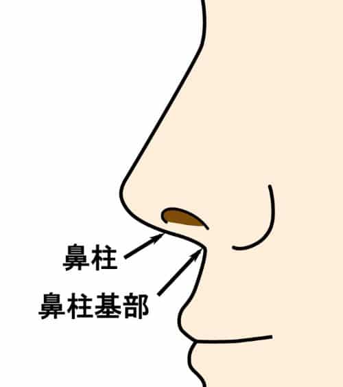 【鼻整形】鼻中隔延長と鼻柱基部下降を比較解説