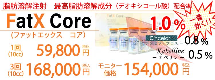 脂肪溶解注射　FatX Core　ファットエックスコア