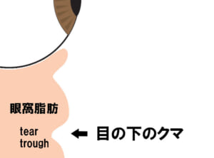 断面図解説2