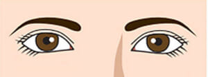 目と眉が近い