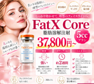 脂肪溶解注射 5ccプラン FatX-Core-HP用